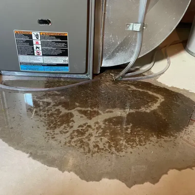 Appliance Leak Cleanup in Mokena, IL